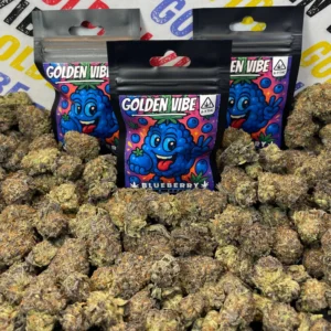 BLUEBERRY - ESPAGNOL (Δ-9 THC)